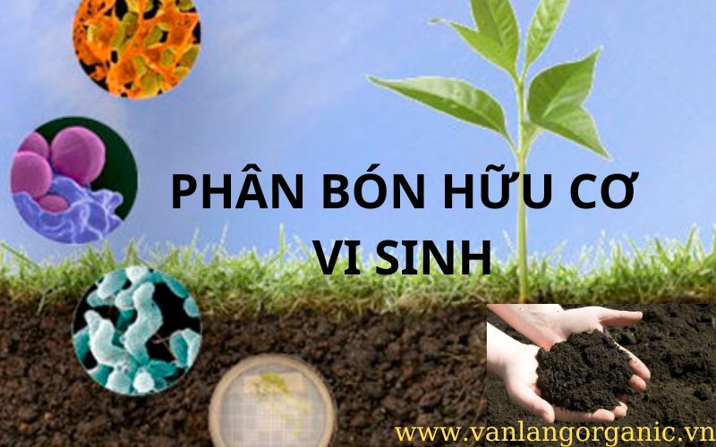 PHÂN BÓN HỮU CƠ VI SINH LONG BÌNH